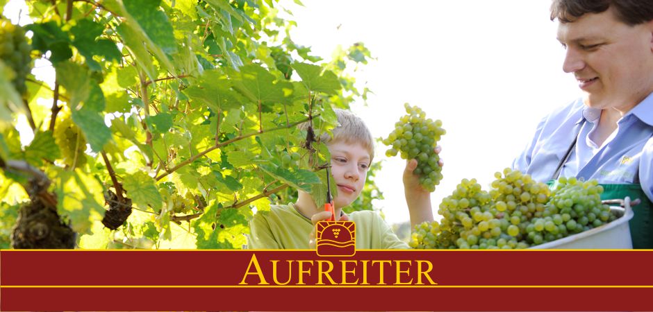 Weinhof Aufreiter